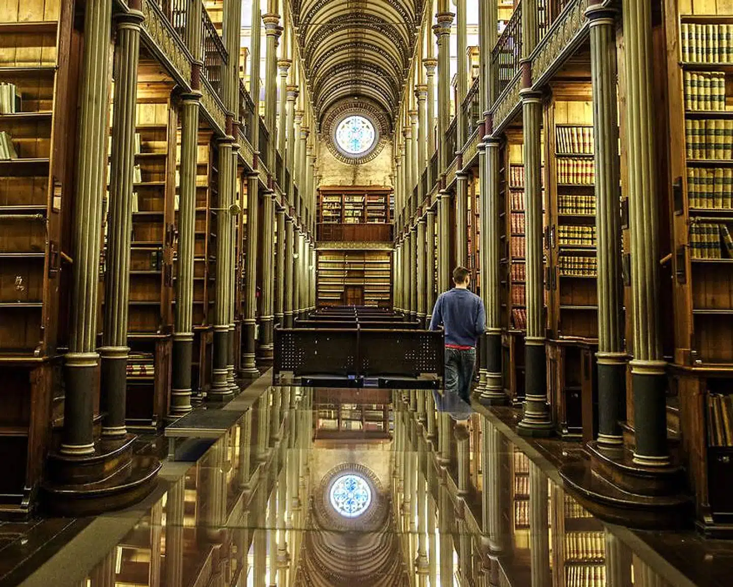 Arkitekten J.D. Herholdts universitetsbibliotek, der ligner den lange sal i 1700-talsbiblioteket Trinity i Dublin, ligger ubenyttet hen midt i København, men blev i årtier brugt som bibliotek. Nu overvejer Københavns Universitet, hvad det smukke rum kan anvendes til i fremtiden.