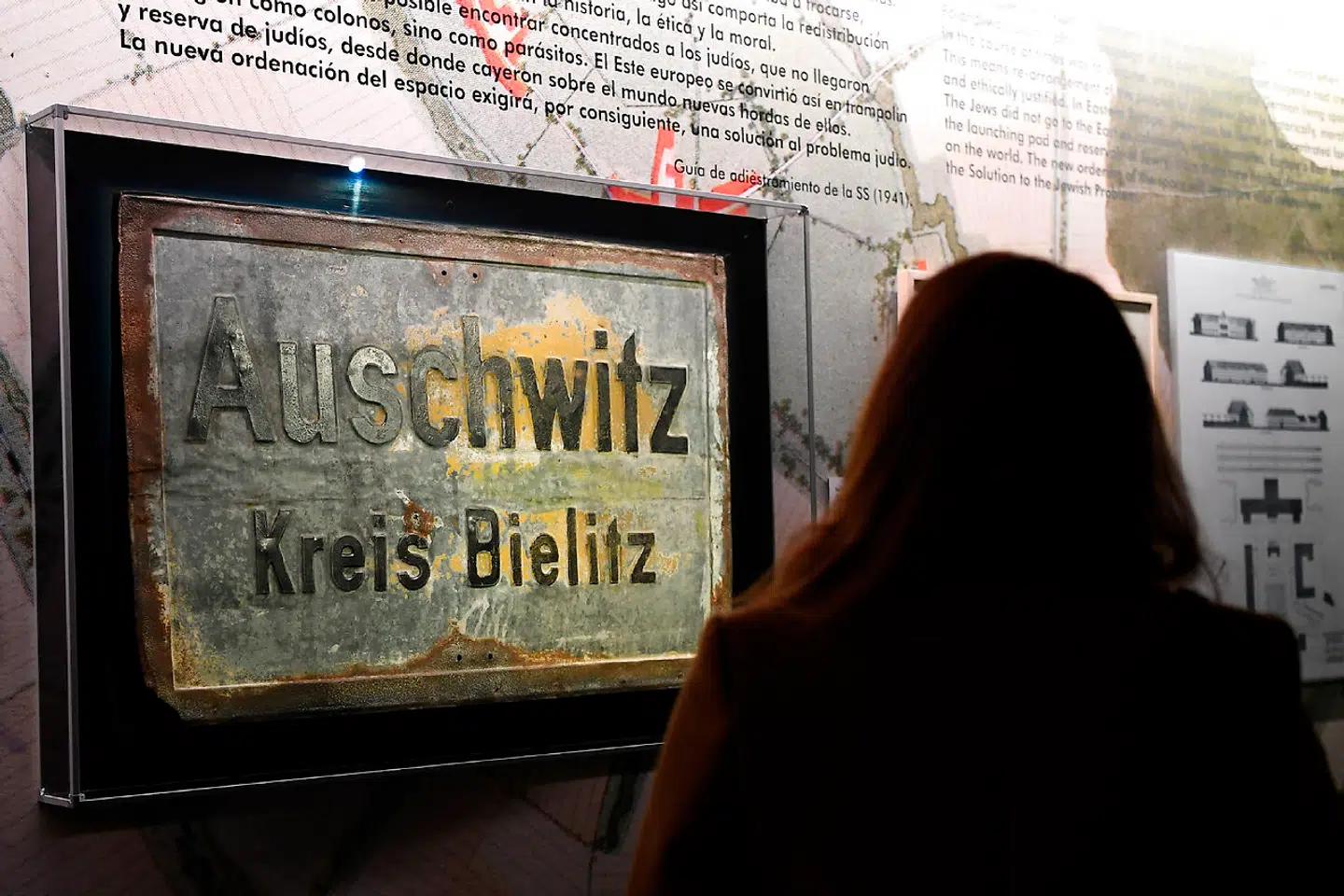 250 millioner på verdensplan så i 1978 og 1979 den amerikanske TV-serie om Holocaust, hvor flere af hovedpersonerne døde i koncentrationslejren Auschwitz. I Tyskland ryddede serien gaderne og fik fundamentale følger for landet. Nu genudsendes serien i Tyskland. I Danmark blev serien vist i 1978.