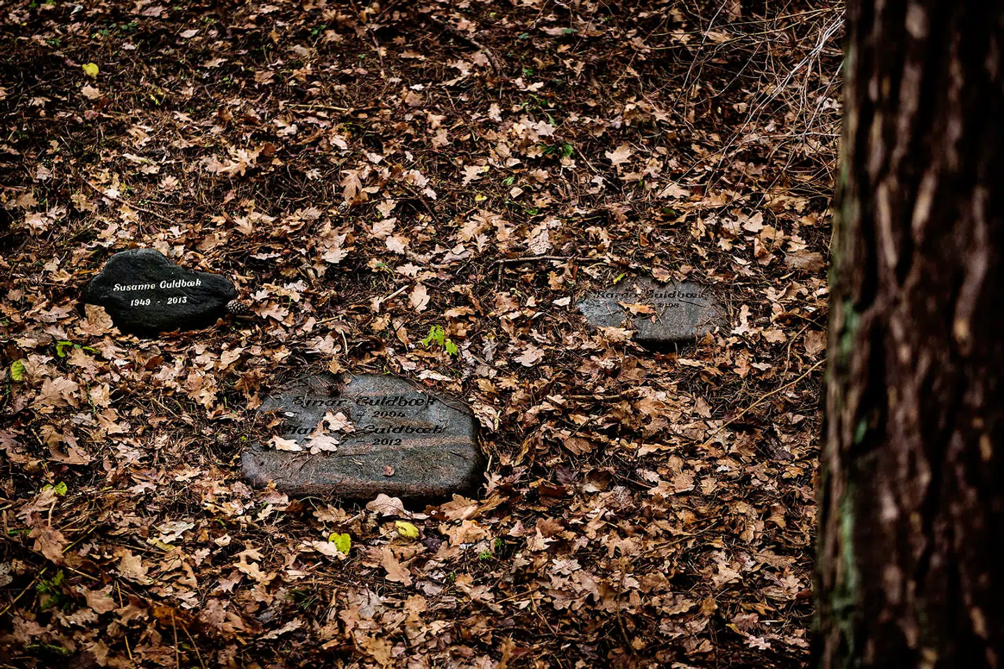 I udkanterne og i visse afsnit antager Mariebjerg Kirkegård karakter af en vildere bevoksning, der foregriver de senere skovkirkegårde, der er placeret uden for de egentlig gravpladser ved landets kirker.