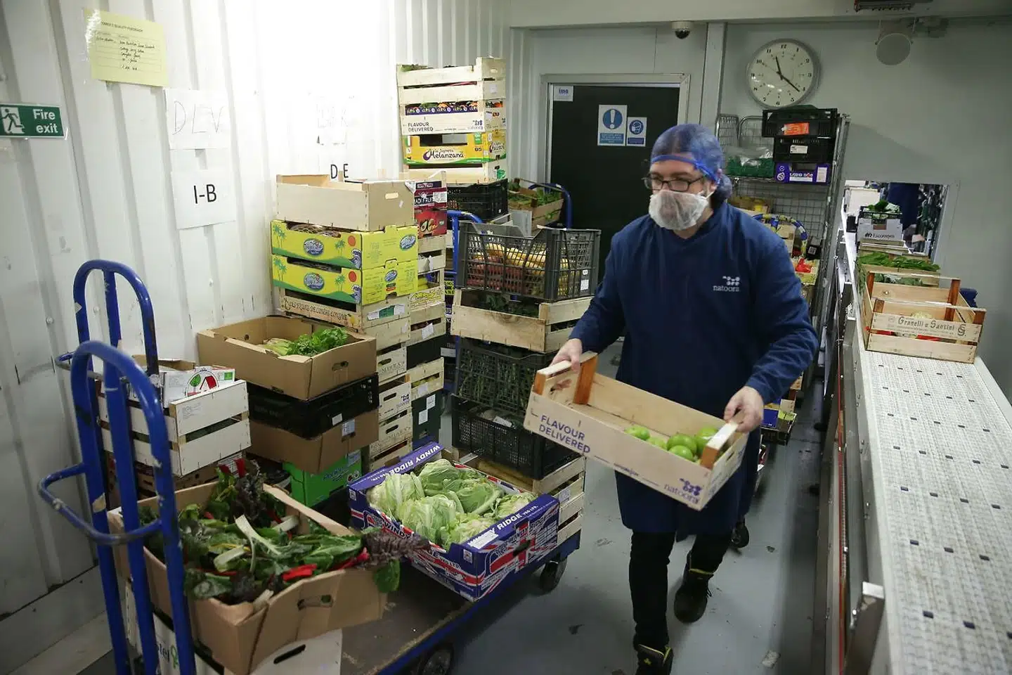 Mens nogle virksomheder allerede er i gang med at bygge lagrene op i forhold til et muligt hårdt Brexit, har andre virksomheder som frugt og grøntsagsdistributøren Natoora ikke den mulighed. Foto: Daniel Leal-Olivas /AFP/Ritzau Scanpix