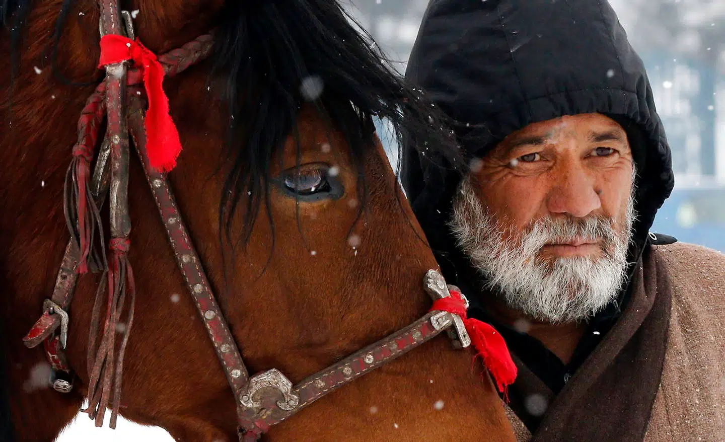 Virkeligheden på jorden. En afghansk mand venter på at kunne leje sin hest ud for en dollar om dagen.