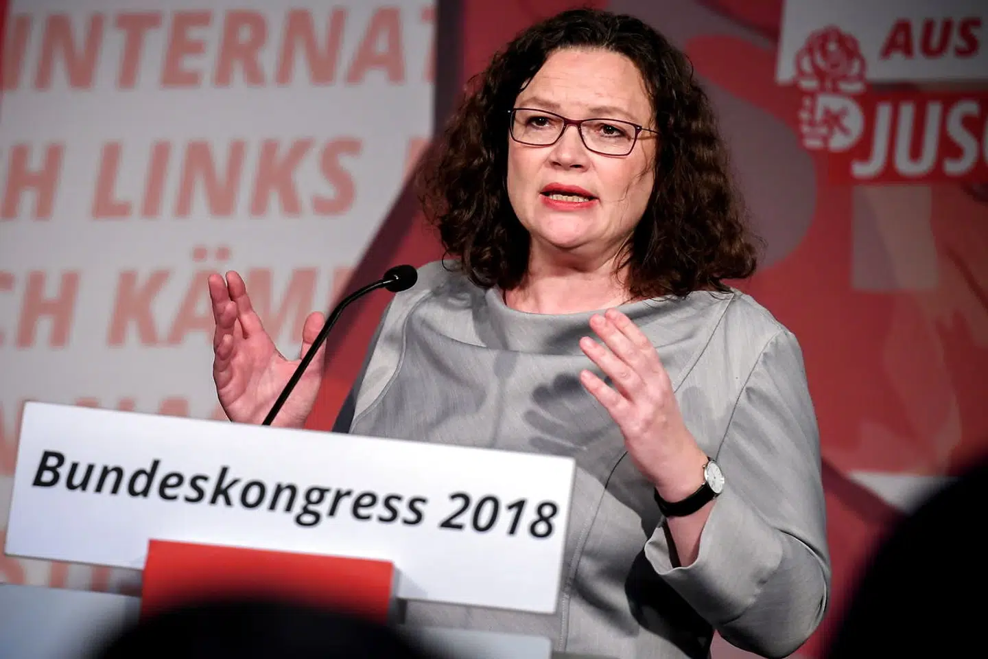 På trods af at Andrea Nahles kun har været på posten i få måneder – og partiet i de senere år ofte har skiftet formand – spekuleres der allerede i, om hun vil kunne overleve Europa-Parlamentsvalget. Den nuværende justitsminister, Katarina Barley, er partiets spidskandidat til Europa-Parlamentsvalget.