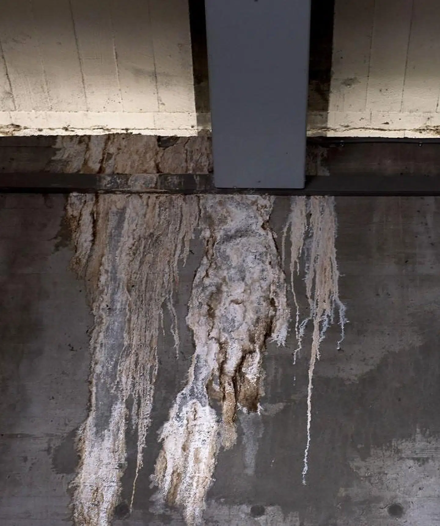 Fugtindtrængning fra taget får betonen til at udfælde et stærkt basisk materiale, der siver ned langs de bærende konstruktioner. Hvis det drypper ned på skibene, vil det være katastrofalt.