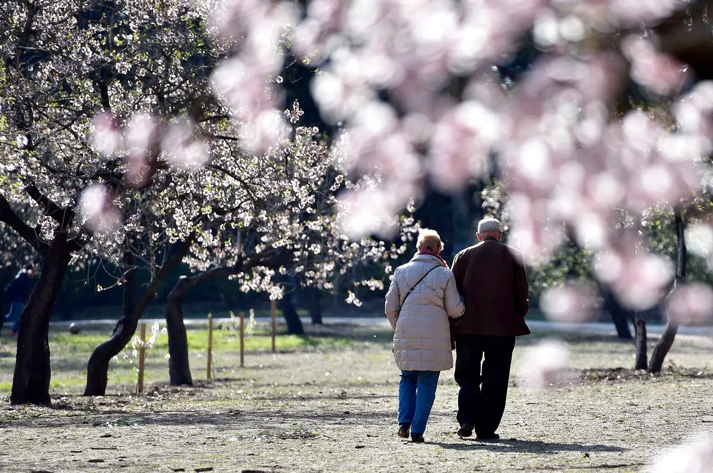 Det behagelige spanske klima inviterer til lange og sunde spadsereture som her i Los Quintos-parken i Madrid: