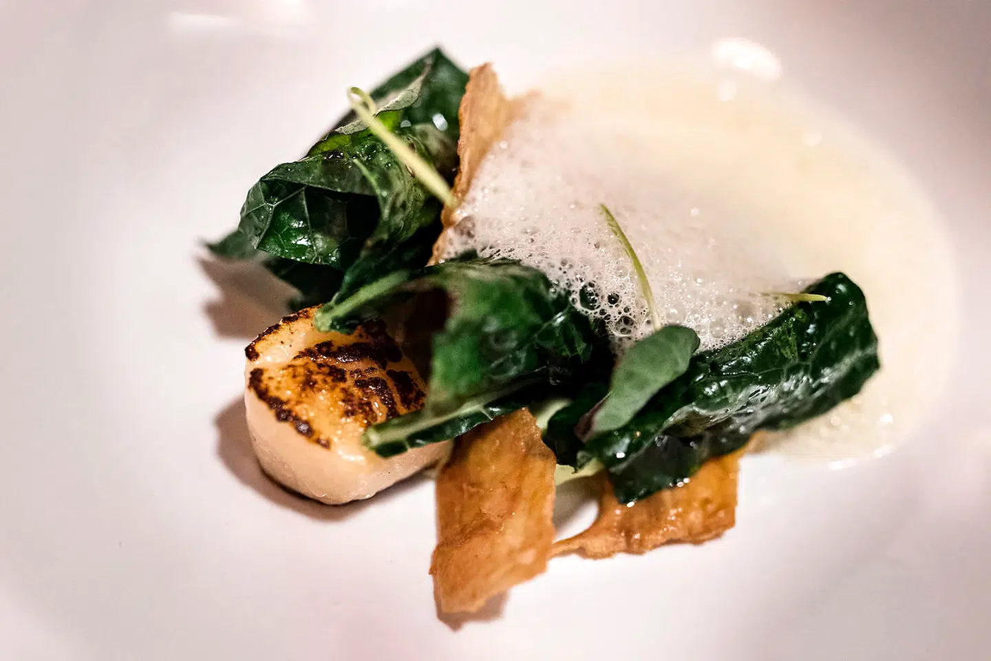 Stegt kammusling og palmekål med kærnemælk og kyllingeskind.