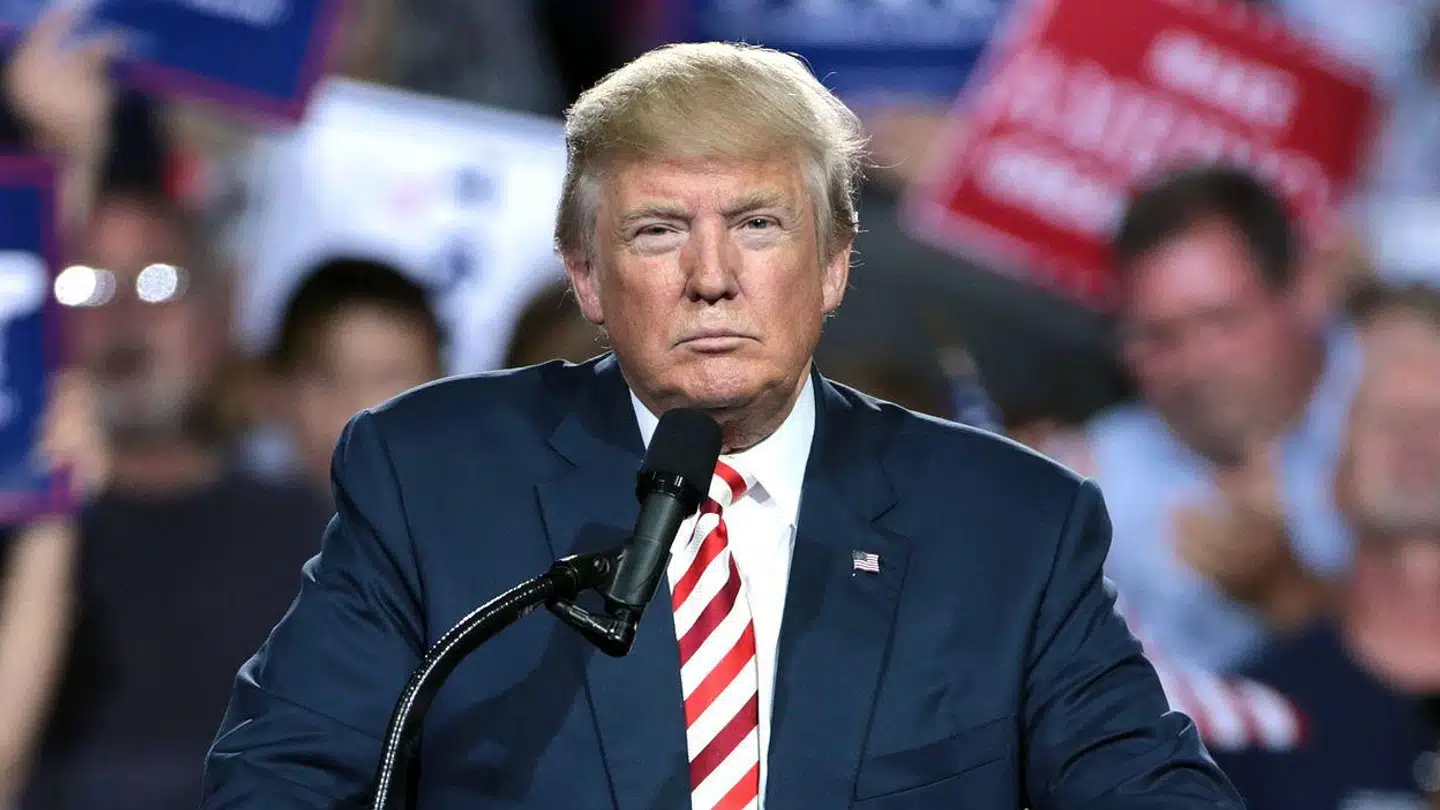 Donald Trump siger selv, at han ikke har tid til at læse bøger. Det stopper ham ikke fra at anbefale nogle - og de handler mest om ham selv.
