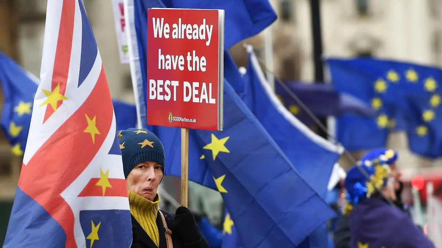 De står der dag efter dag foran det britiske parlament – demonstranter imod EU og (på billedet) demonstranter for EU. Regeringens strategi er nu, at de skal gøres bange og tvinges til at forlade deres kompromisløse holdninger.