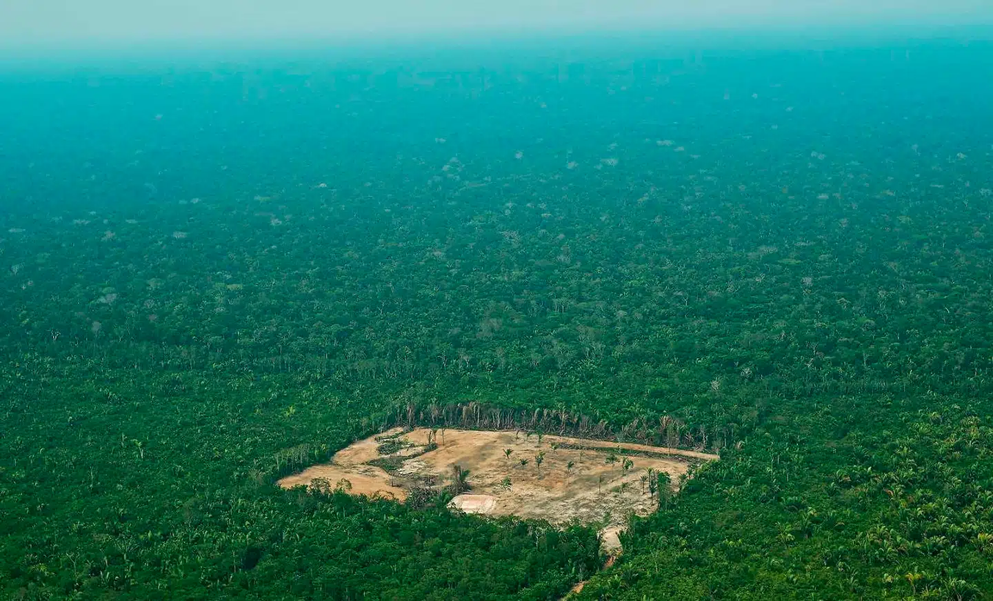Mens Brasilien gør stadigt større indhug i Amazonas, blokerede landet for klimaforhandlingerne med et ønske om at kunne pumpe CO2-regnskabet voldsomt op med diffuse regler om anvendelse af kulstofkreditter i skove.