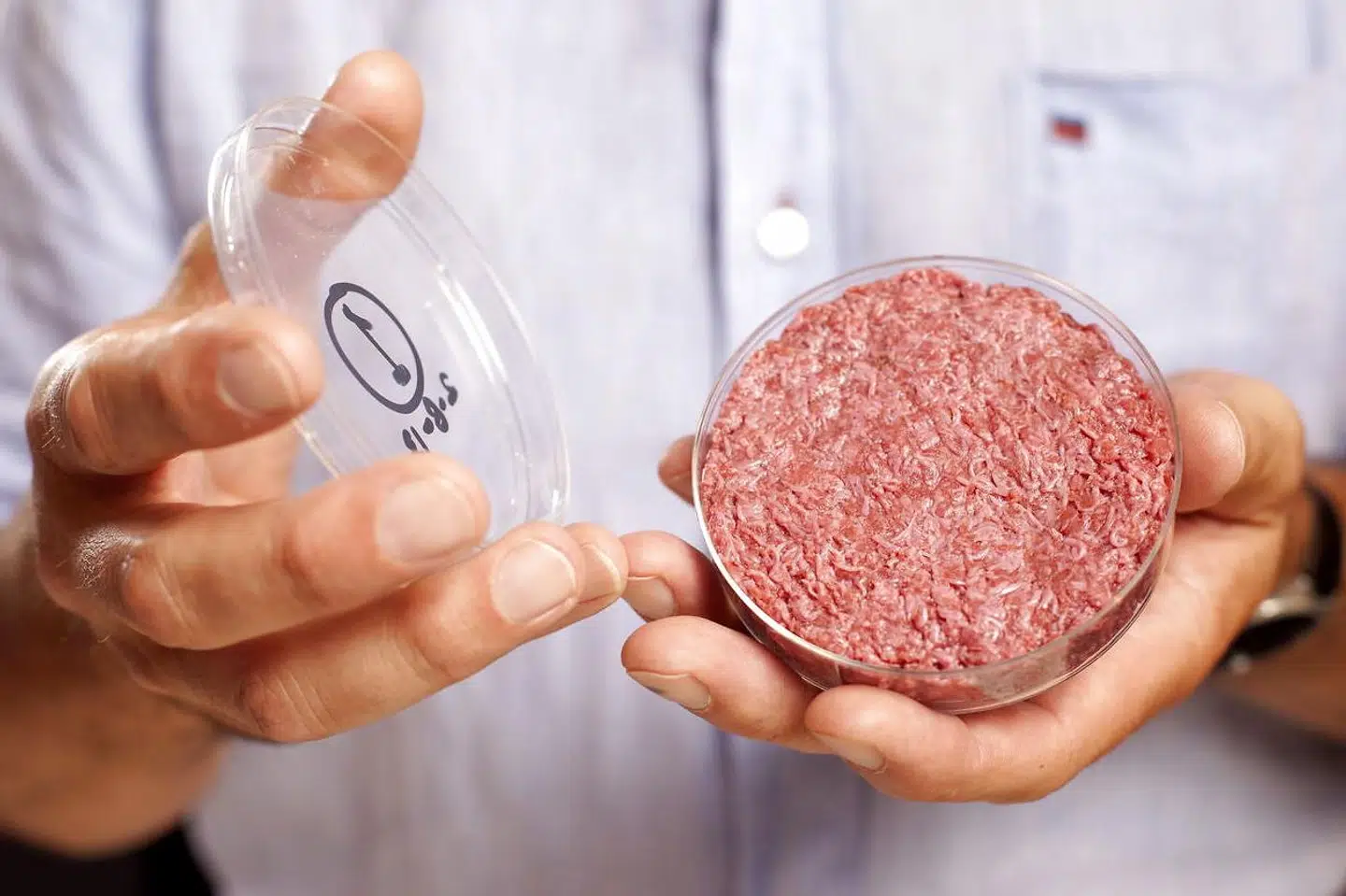 I fremtiden skal vi måske spise burgere med kød, der er dyrket i et laboratorium. Den kunstige burger på billedet er dyrket af professor Mark Post fra Maastricht University i Holland. Foto: David Parry/EPA/Ritzau Scanpix