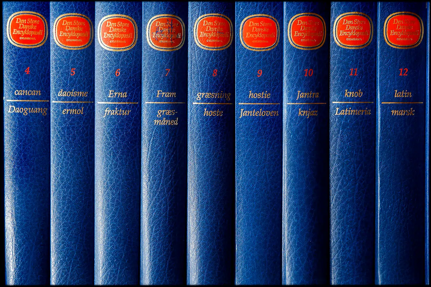 Den store danske encyklopædi fandtes først som fysisk leksikon, men er siden blevet digitaliseret.