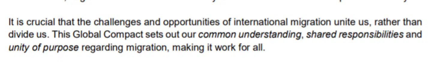 Citat fra »Global Compact for Safe, Orderly and Regular Migration«.
