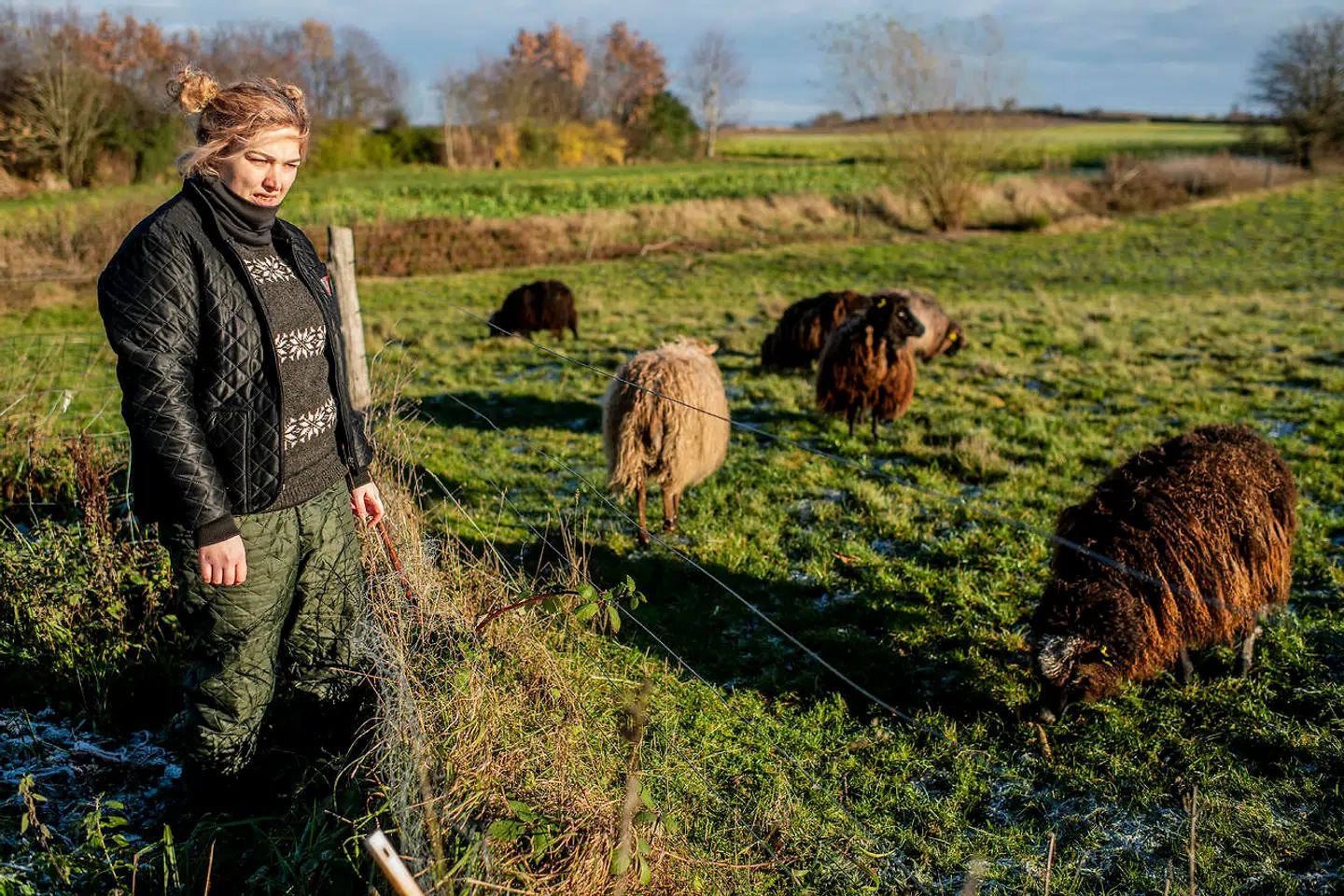 »Da jeg gik i gang med at skrive, tænkte jeg selv: Hvad var det værste, der kunne ske for mig som 20-årig? Det ville være at blive slået hjem,« siger Anna Emma Haudal, der har en flok får i baghaven på sin ejendom i Odsherred.