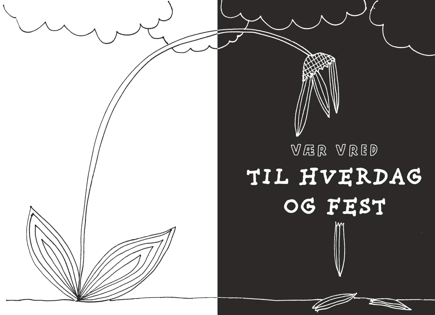 »Jeg synes for eksempel, at det er vildt irriterende, når folk går langsomt foran mig på gaden,« siger redaktøren bag »Kunsten at være negativ«.