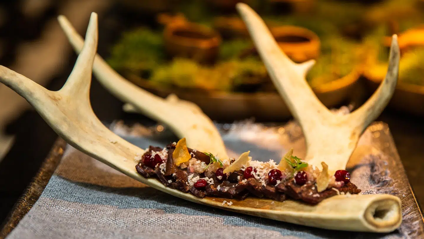 Røget Svalbard-ren med tyttebær og fjeldsyre, serveret på eget gevir.