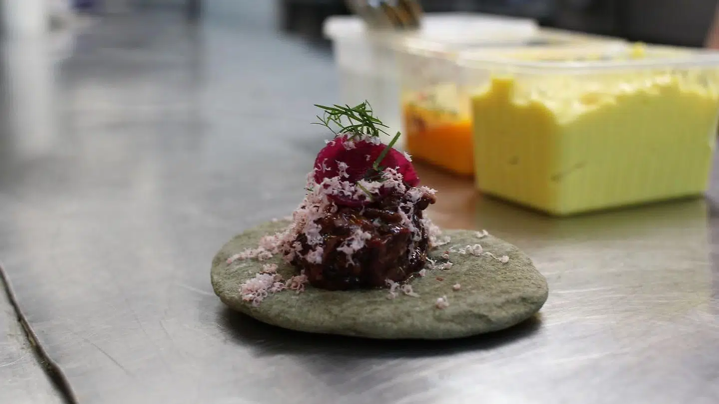 Husets sæltatar med tyttebærsmør.