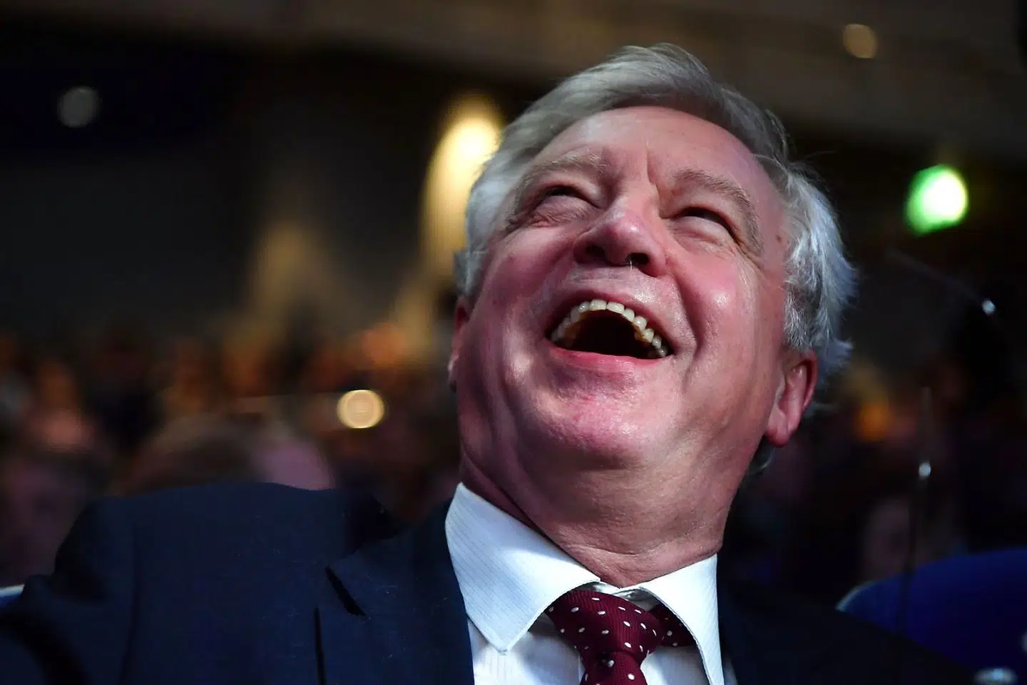 »Der er ingen ulemper ved Brexit, kun fordele,« sagde EU-modstanderen David Davis i 2016. Så blev han selv Brexit-minister ...