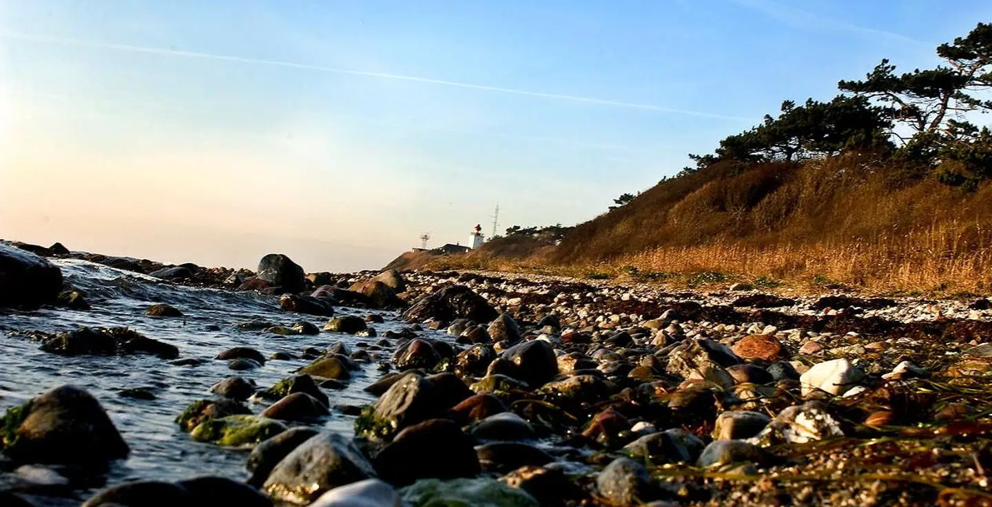 »Har du først været her, ved du, at det slet ikke er nødvendigt at drage hverken sydover eller nord for landets grænser for at finde dit zen i naturen.« Sådan lyder det i naturkanonen om halvøen nord for Kalundborg på den yderste spids af Sjælland, Røsnæs.