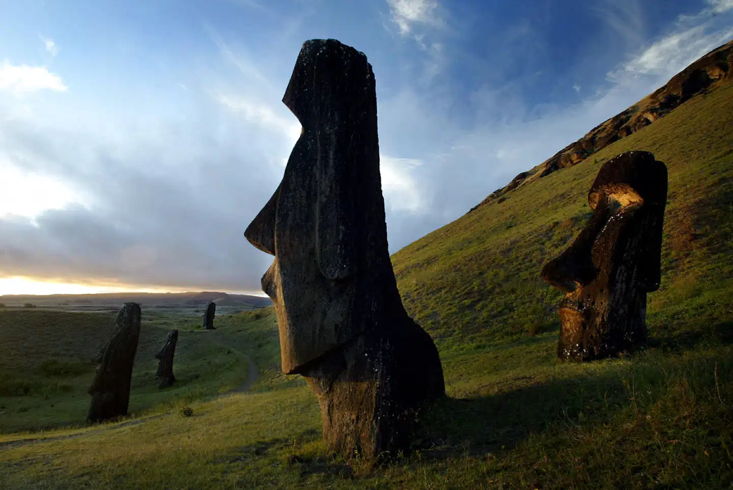 Befolkningen på Påskeøen er for over 1.000 år siden indvandret fra Polynesien. Skulpturerne på øen er formentlig skabt for at ære forfædrene.