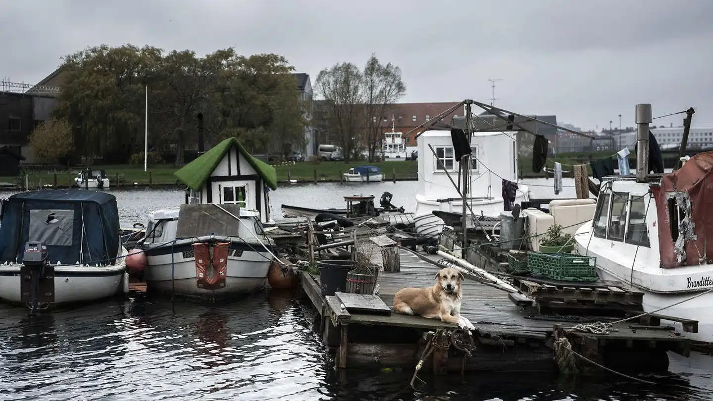 Københavns Kommune har givet beboerne i de godt 60 både og bådvrag folkeregisteradresse i Fredens Havn, selvom Kystdirektoratet for tre år siden kendte bådkolonien ulovlig. Det er en krænkelse af retsbevidstheden, mener DF, der torsdag den 8. november kaldte justitsminister Søren Pape Poulsen (K) og miljø- og fødevareminister Jakob Ellemann-Jensen (V) i åbent samråd om Fredens Havn. Heraf fremgik det, at det vil koste 26 millioner kroner at rydde »den flydende fristad«.
