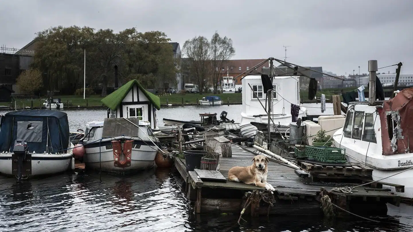 Københavns Kommune har givet beboerne i de godt 60 både og bådvrag folkeregisteradresse i Fredens Havn, selvom Kystdirektoratet for tre år siden kendte bådkolonien ulovlig. Det er en krænkelse af retsbevidstheden, mener DF, der torsdag den 8. november kaldte justitsminister Søren Pape Poulsen (K) og miljø- og fødevareminister Jakob Ellemann-Jensen (V) i åbent samråd om Fredens Havn. Heraf fremgik det, at det vil koste 26 millioner kroner at rydde »den flydende fristad«.