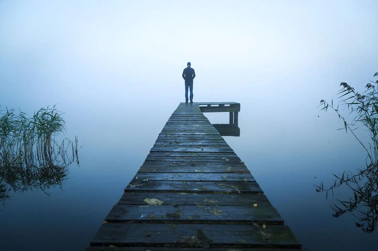 Ti pct. af efterladte udvikler en vedvarende sorglidelse og samlet set udvikler 15-20 pct. af alle efterladte en kompliceret sorgreaktion, der udover vedvarende sorglidelse også tæller tabsudløst depression, PTSD, angst eller somatiske reaktioner, der kræver professionel hjælp og behandling.