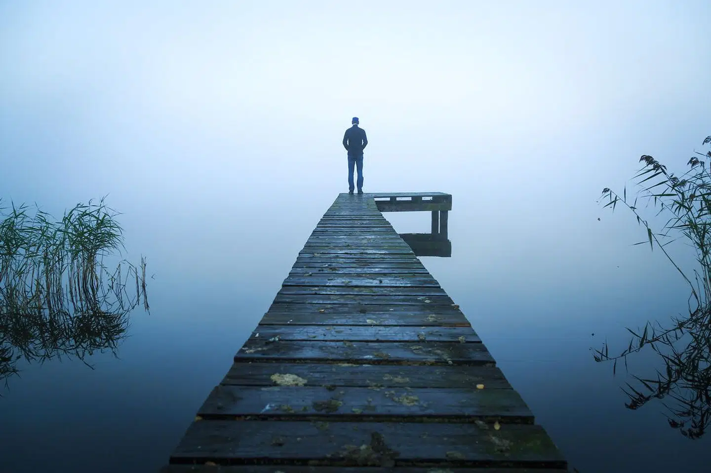 Ti pct. af efterladte udvikler en vedvarende sorglidelse og samlet set udvikler 15-20 pct. af alle efterladte en kompliceret sorgreaktion, der udover vedvarende sorglidelse også tæller tabsudløst depression, PTSD, angst eller somatiske reaktioner, der kræver professionel hjælp og behandling.