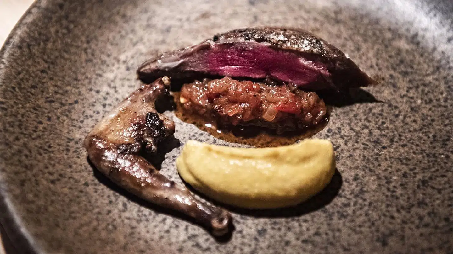 Skovdue med hybenkompot og kålrabi.