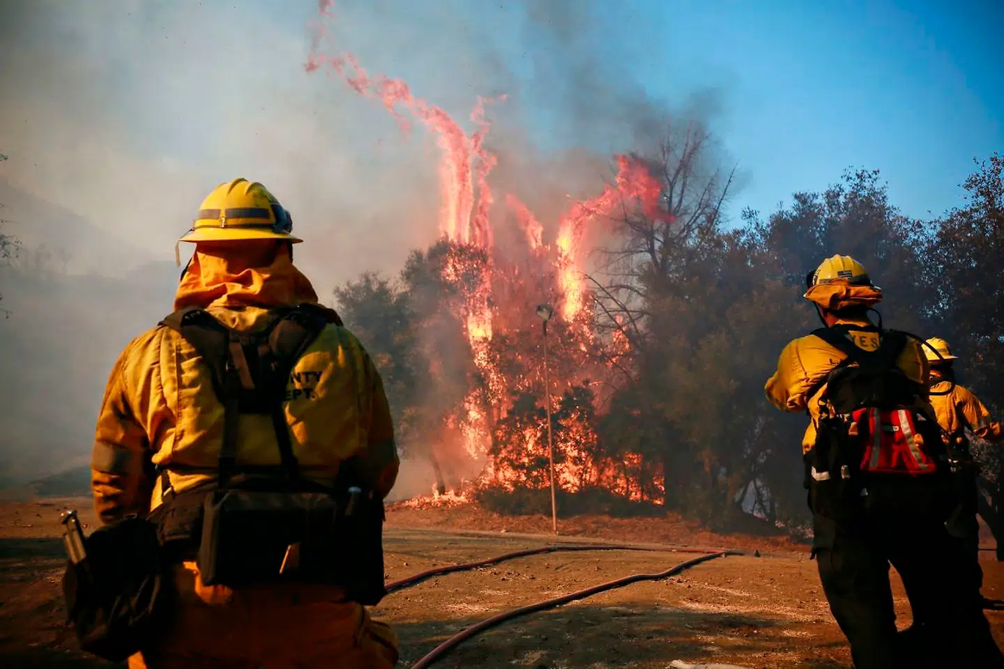 Under Californiens efterhånden mange kampe med skovbrande har man flere gange set, at vejene er blevet en dødsfælde for dem, der forsøgte at flygte.Branden, »The Woolsey fire« har brændt over 70.000 hektarer og har nu nået Mailbu.