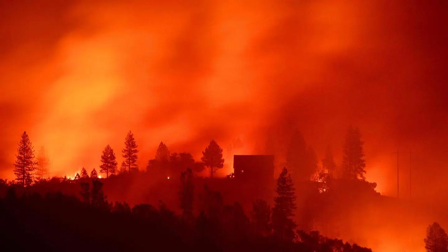 I og omkring byen Paradise i det nordlige Californien er mindst 23 mennesker omkommet i omfattende brande, der hærger et område næsten lige så stort som Bornholm.