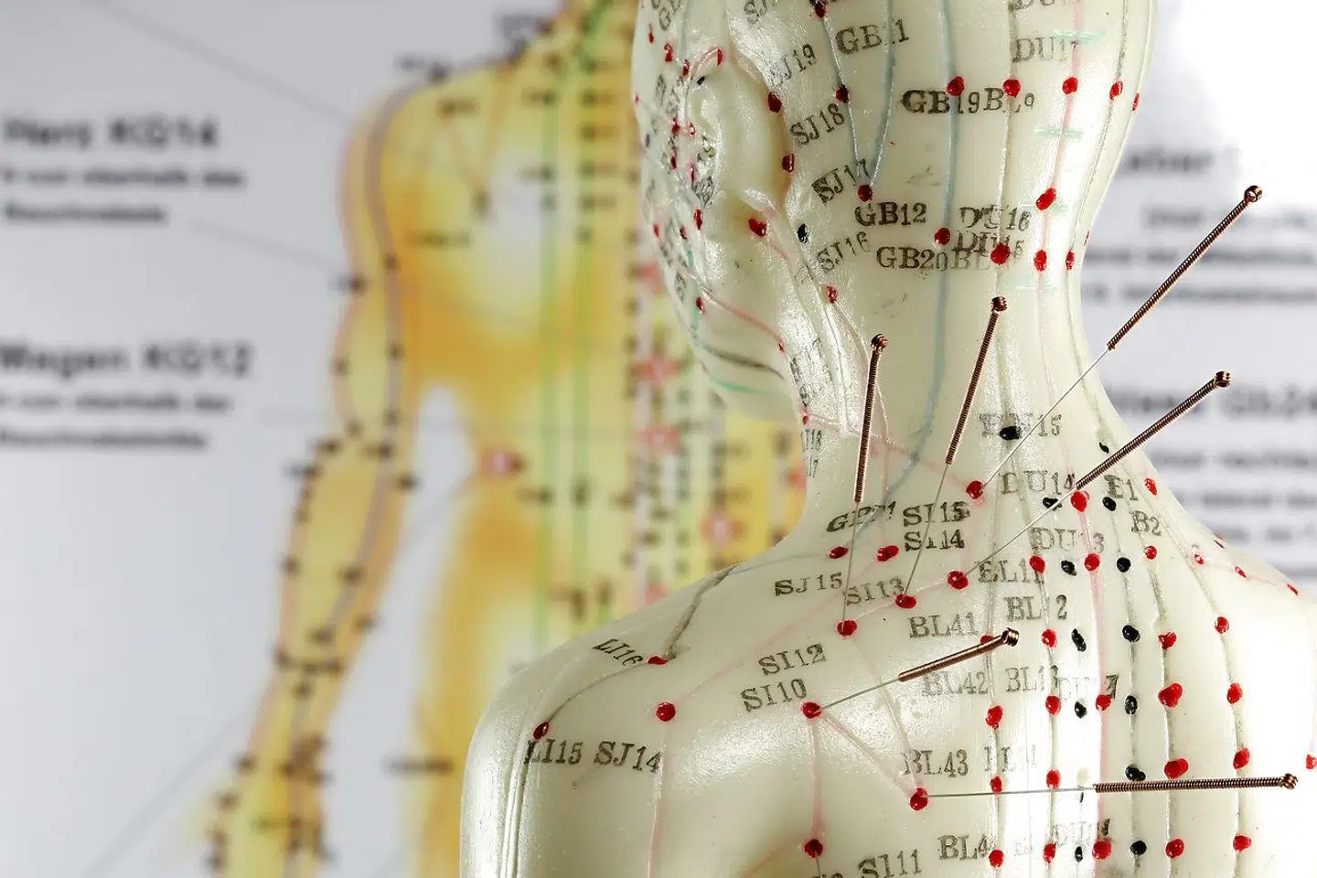 »Som det er nu, er det lovligt for alle at slå sig ned som akupunktører og udbyde nålestik af brystkassen som behandling. Også uden at have hverken uddannelse, erfaring eller kendskab til kroppens faresignaler ved fejlbehandlinger,« skriver Inge Møllehave.