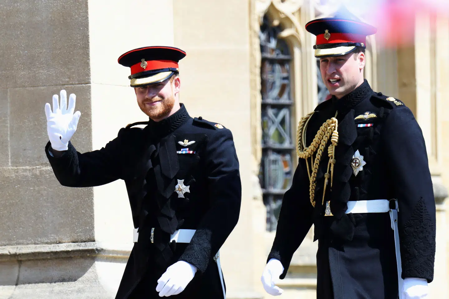 De to brødre prinserne Harry (til venstre) og William blev opdraget til at passe på naturen. Her ses prinserne til Harrys bryllup i maj. Pool/Reuters