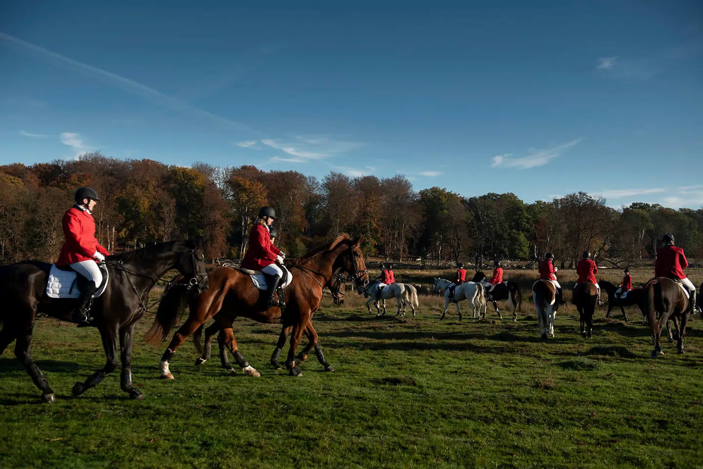 Så går dagens jagt i gang.