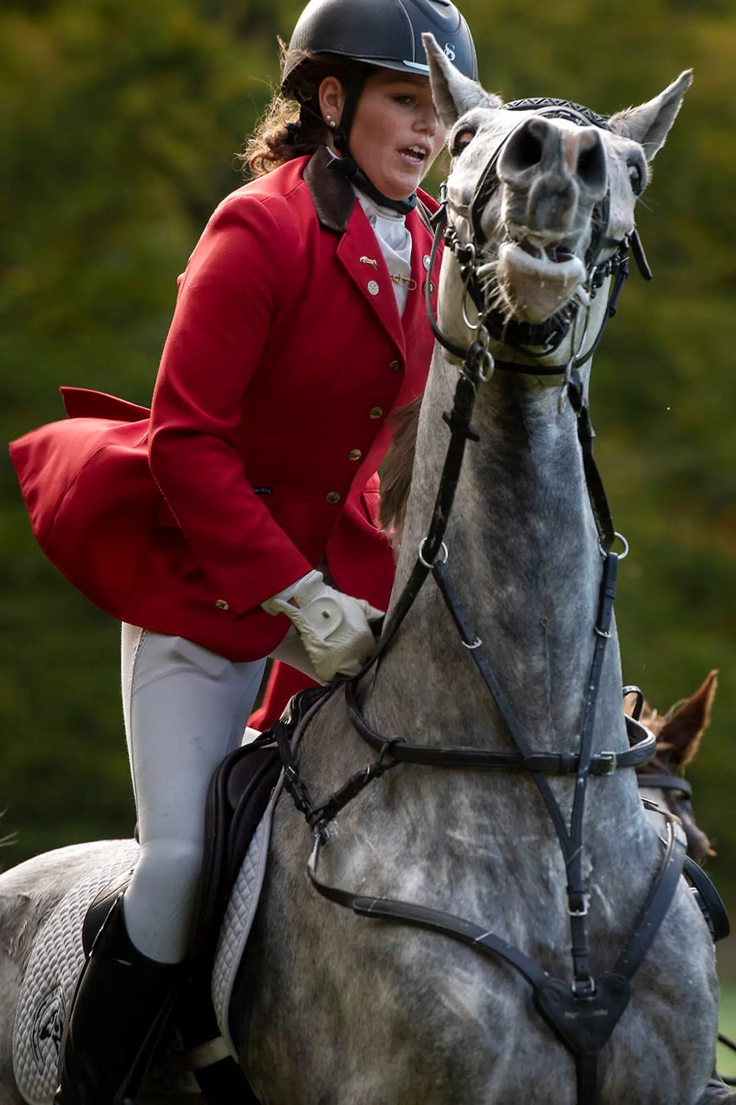 Albert med sin rytter, Sabrina Solis.