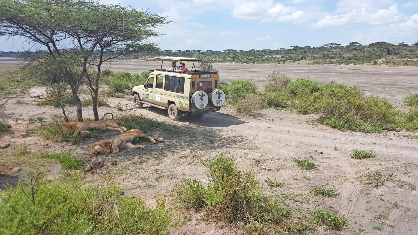 Serengeti betyder løst oversat ’De Uendelige Sletter. Det forstår man godt, straks man er til stede i den verdensberømte nationalpark. Fotos: Vincent Byakika