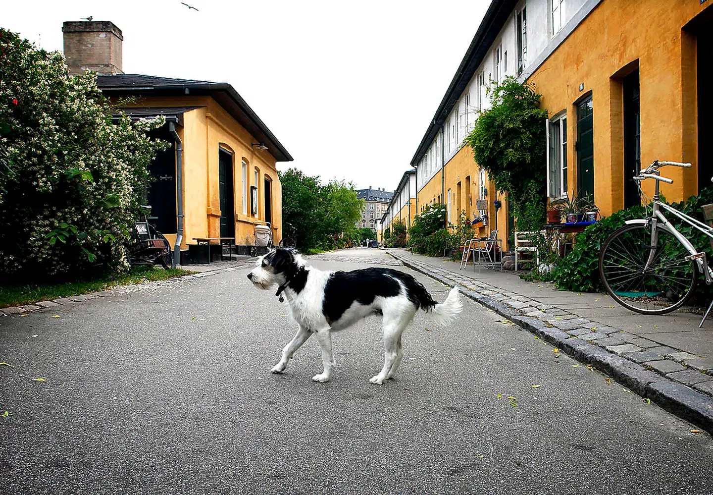 Foto: Niels Ahlmann Olesen. Brumleby på Østerbro er blot et eksempel på dejlige almene boliger i hovedstaden.