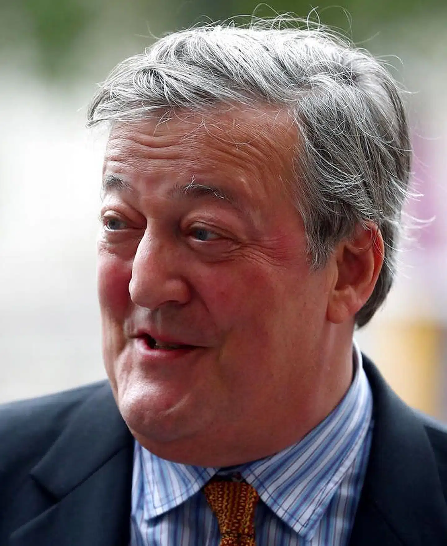 Skuespiller, komiker, TV-vært mm. Stephen Fry.