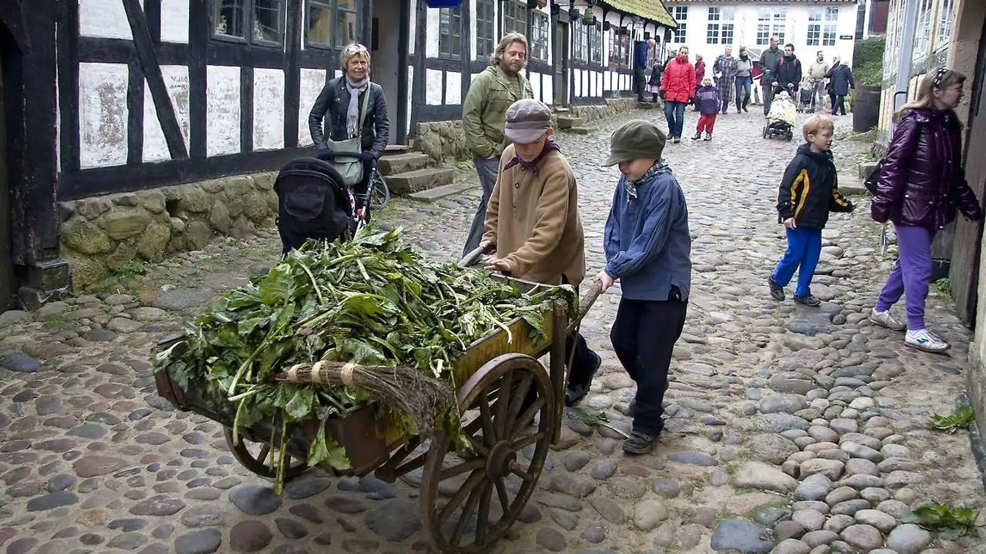 Den Gamle By har mange aktiviteter for børn i skoleferierne. Her prøver et par moderne børn, hvordan det var at holde kartoffelferie i gamle dage.