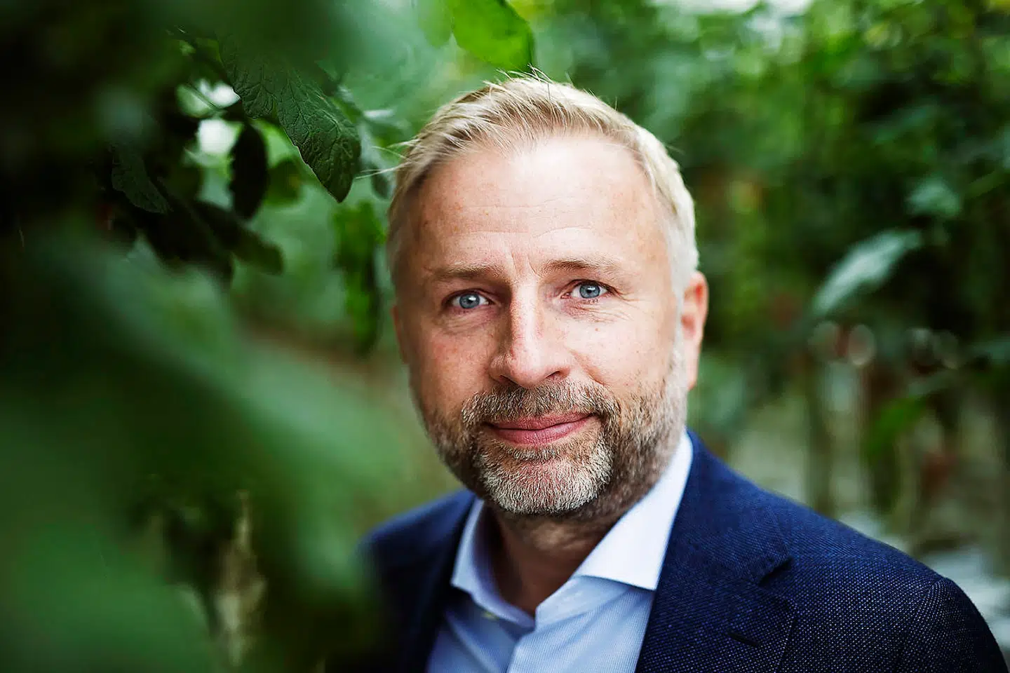 Tomatgartneren Mads Pedersen investerer et trecifret millionbeløb i at opføre Europas største cannabisfarm på Fyn. I Europa er markedet endnu jomfrueligt, men med tiden vil opfattelsen af produktet ændres, og potentialet er derfor enormt, lyder forklaringen.