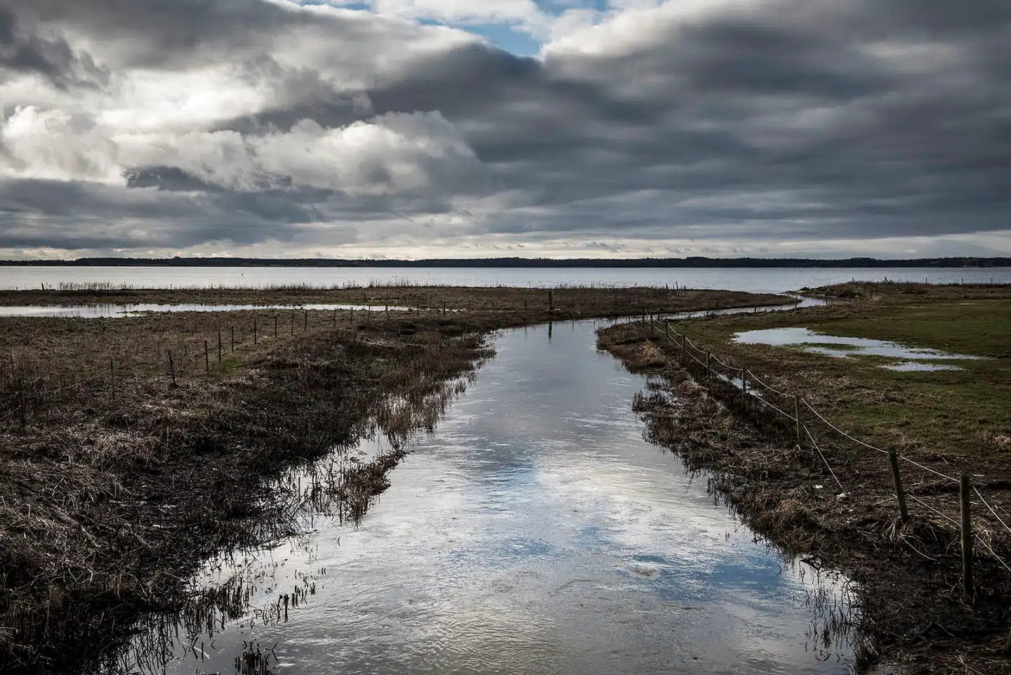 Foto: Asger Ladefoged. Kommunerne Frederikssund, Gribskov og Norddjurs står for skattestigninger på 150 millioner kroner. Alle tre kommuner har været plaget af grove ledelsessvigt på øverste niveau, skriver Henrik Christoffersen.