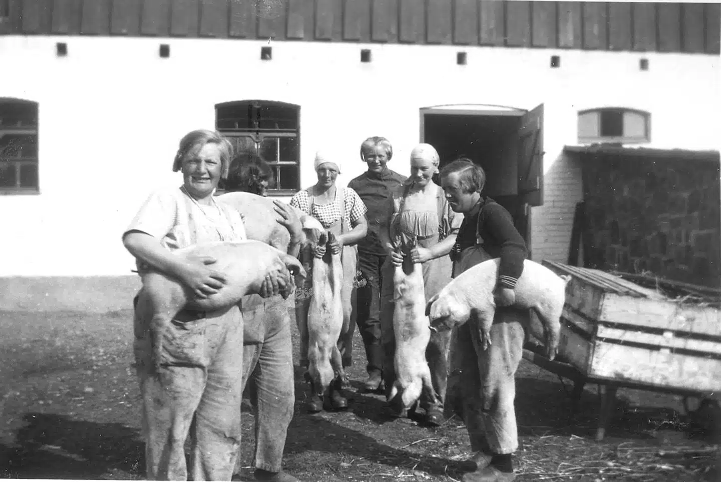 Noget af det pigerne arbejdede med var landbrug og pasning af husdyr