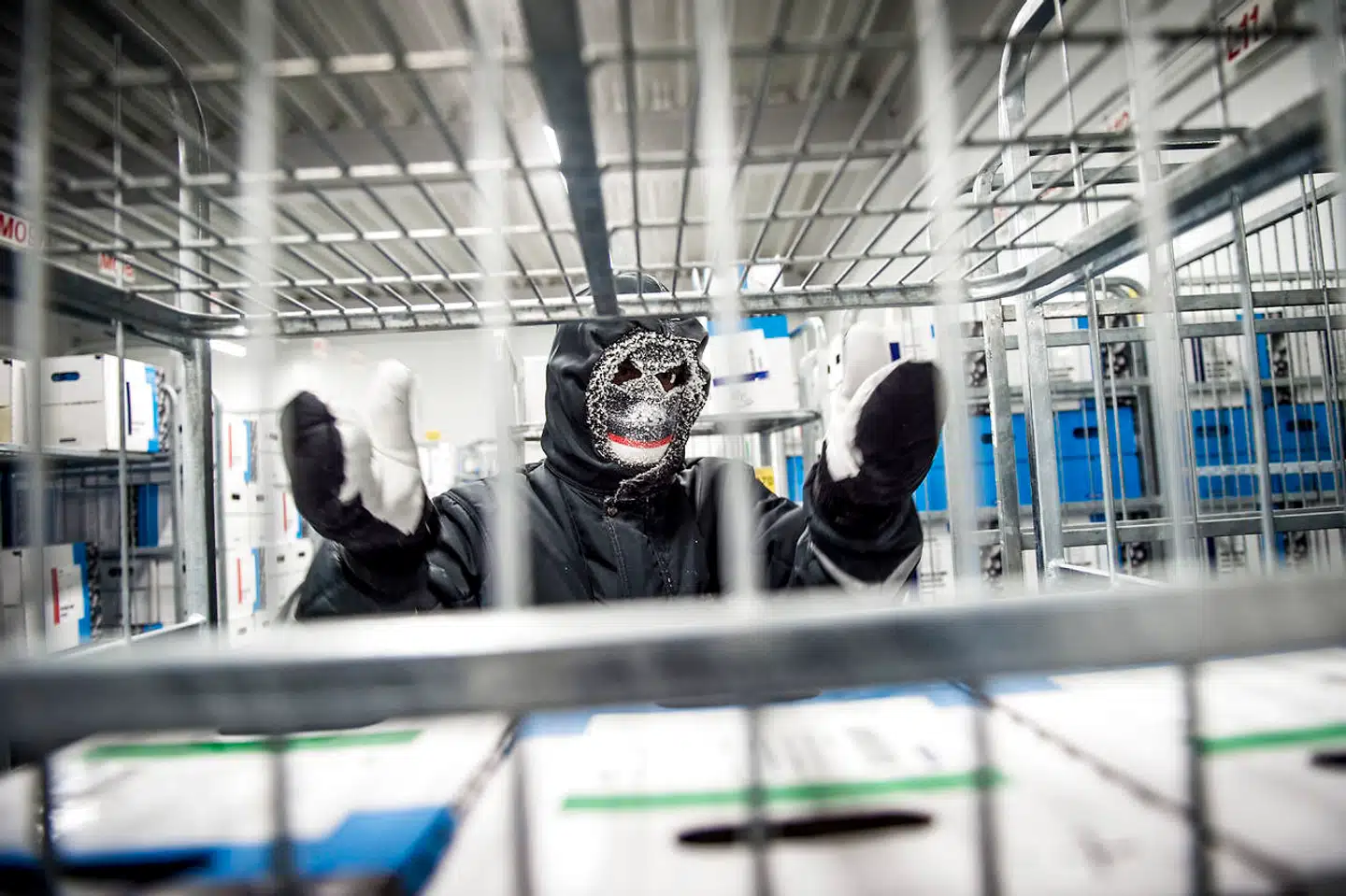 Chr. Hansen er verdens største producent af bakterier, kulturer og enzymer til mejerprodukter og andre fødevarer. Virksomheden har 3.000 ansatte på tværs af 30 lande i verden. De fleste bakterier fremstilles imidlertid på selskabets fabrik i Avedøre. Når bakterierne er fremstillet, bliver de pakket og opbevaret i fryselagre ved -55 grader.