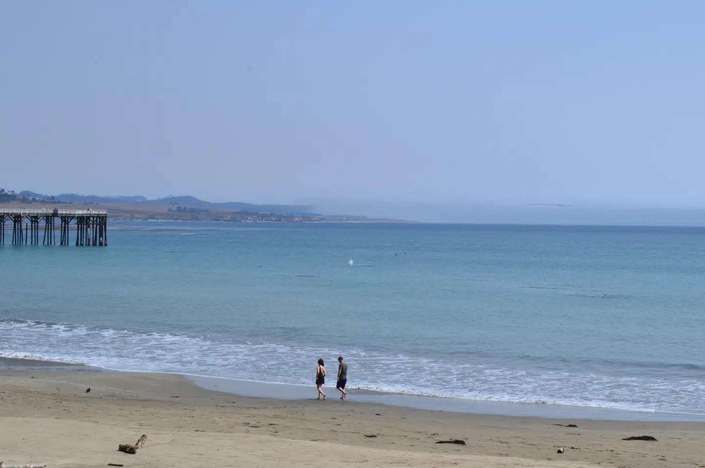 Der er indbydende strande mange steder langs Highway 1. Jo længere mod syd, jo større er chancen for sol og strandvejr. Foto: Kristoffer Flakstad