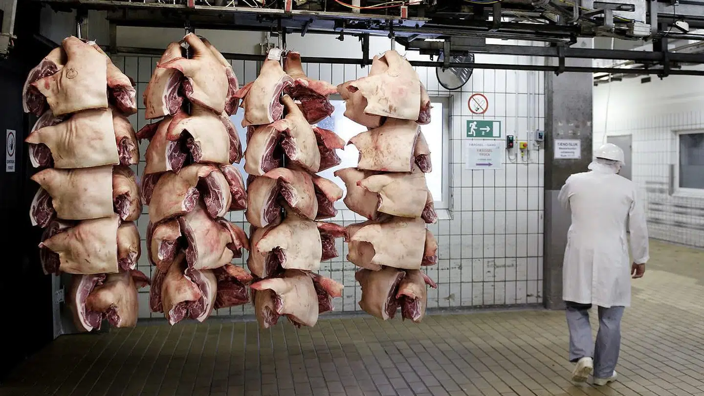 Ny forskning i Nature viser, at vi skal skære drastisk ned på vores kødforbrug.