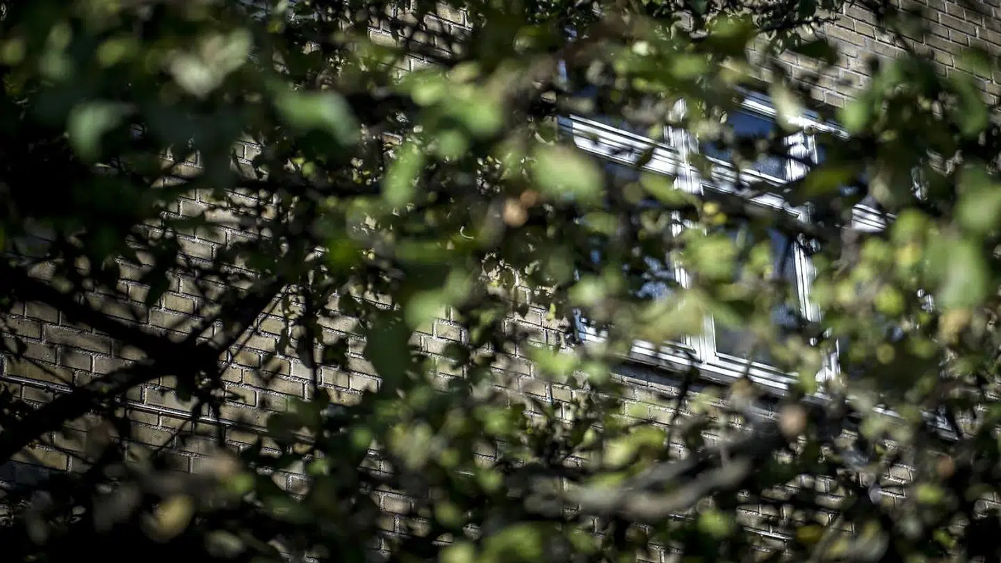 Den 64-årig kvinde, som er mistænkt for at have svindlet for 111 millioner kroner i Socialstyrelsen, boede bag høj hæk, hegn og med overvågningskameraer i et hus i Hvidovre.