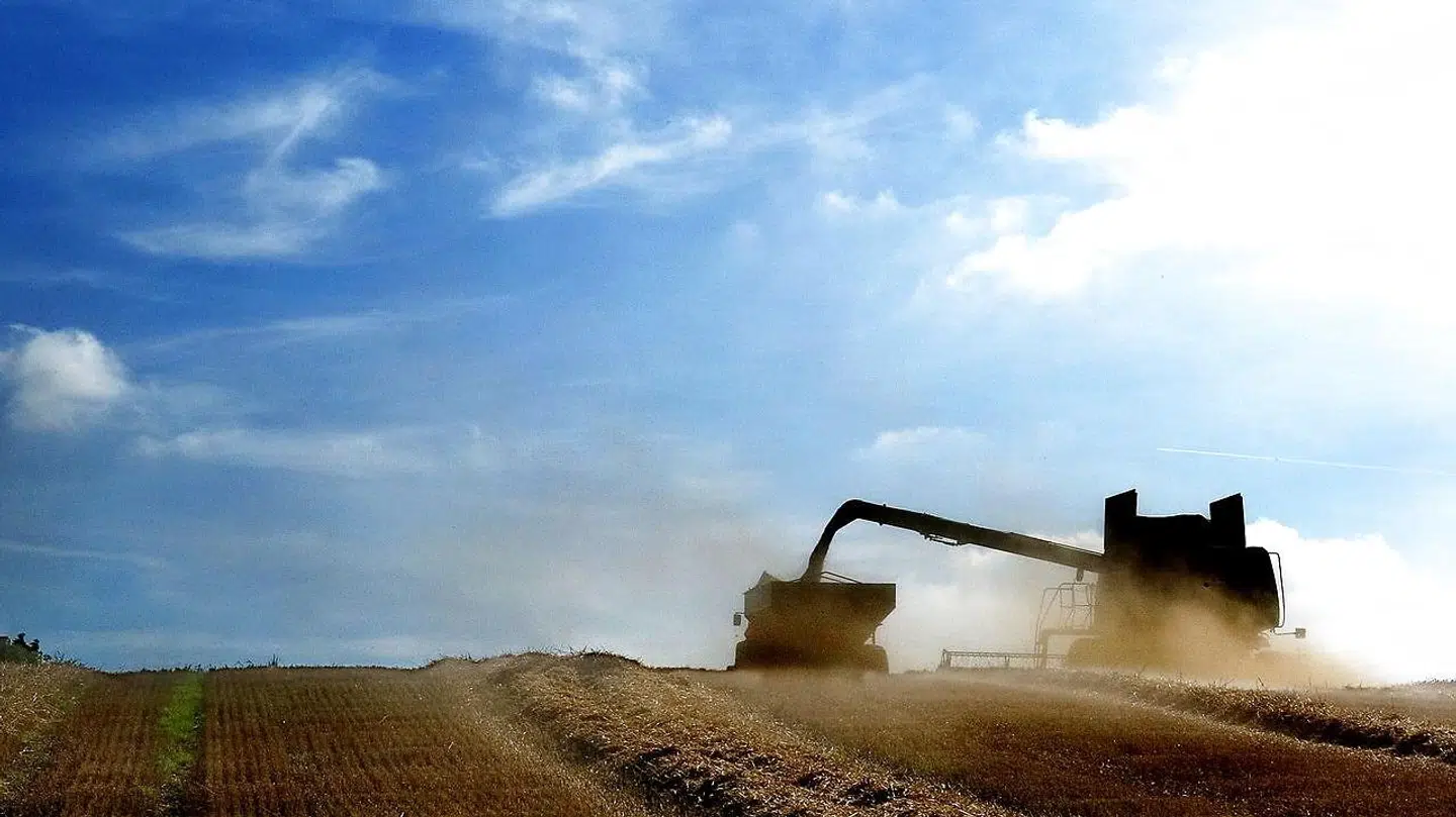 Som et af ganske få EU-lande har Danmark fået lov at medtage kulstofoptag i landbrugsjord i nationale beregninger af vores CO2-reduktioner i de kommende år. Beregningerne er forbundet med »stor usikkerhed«.