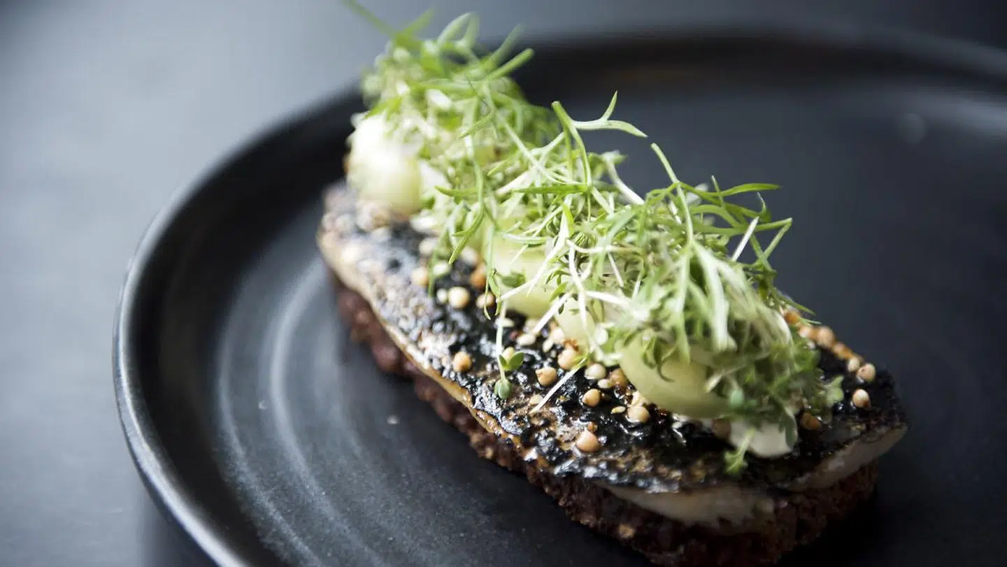 »Den Sorte Enke«, brændt sild med creme fraiche og agurk på Nationalmuseets restaurant, Smör.