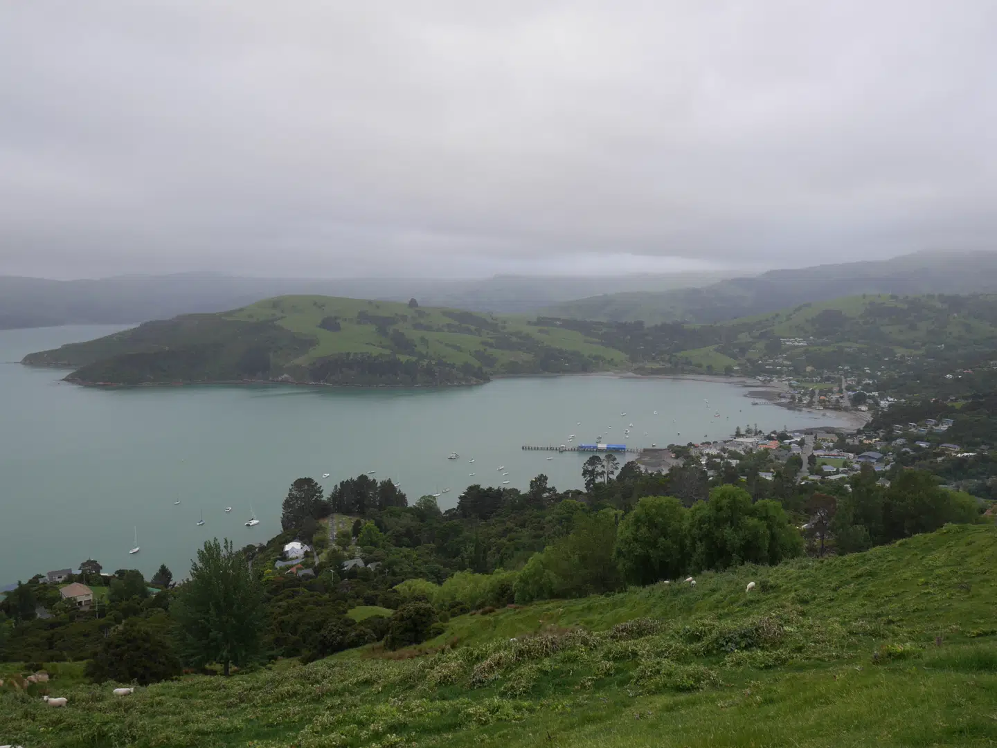 Udsigten ned over Akaroa by fra første udkigsstop på vej mod Pohatu-bugten.