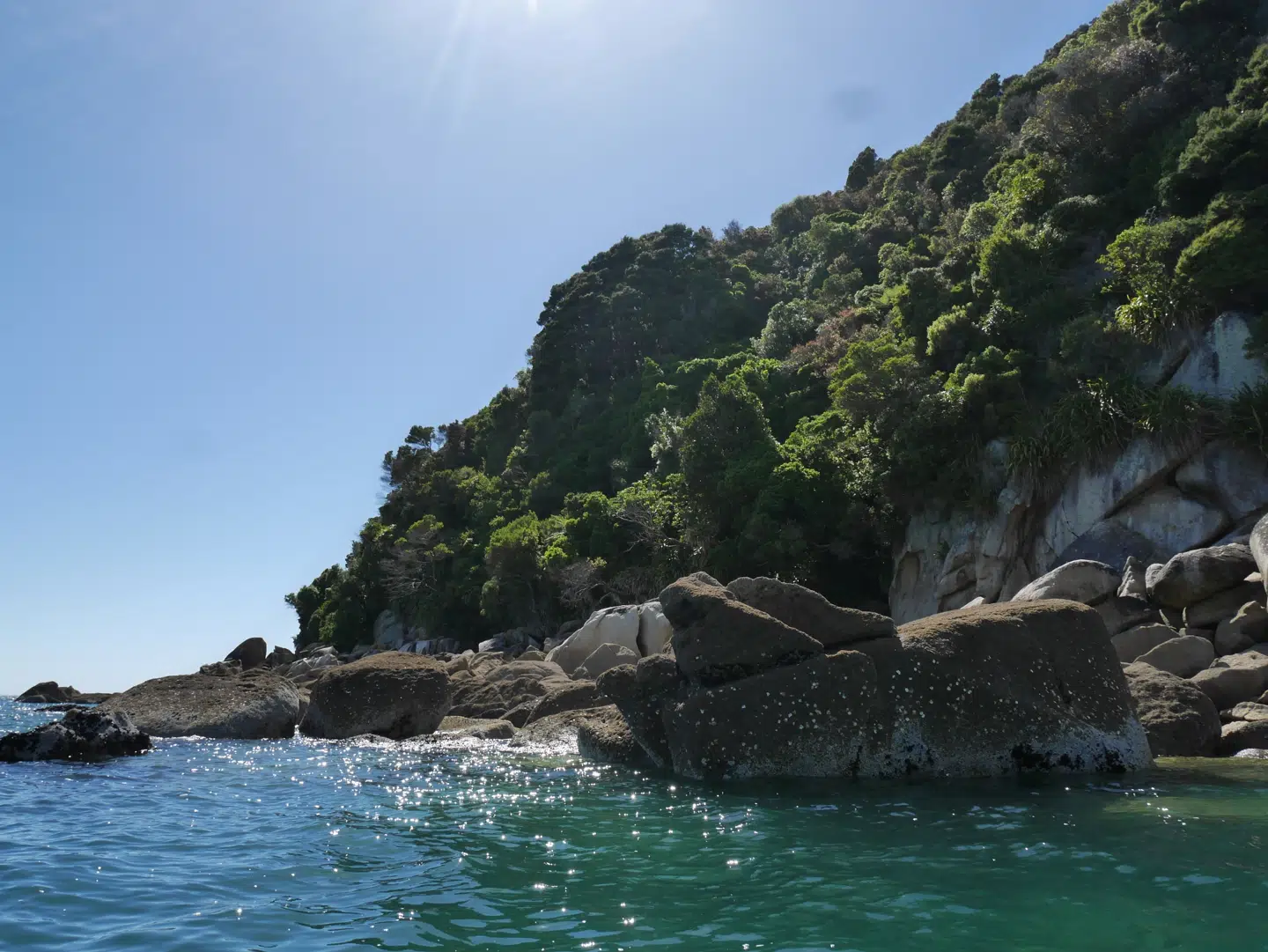 Tonga Island er sælernes territorium, så vi nøjes med at sejle rundt om.