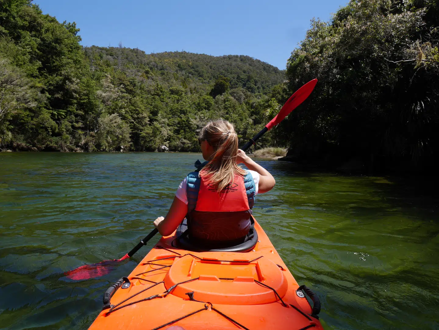Da vi sejler ind ad en flod, farver den tætte beplantning vandet flaskegrønt, og vi føler nærmest, at vi er statister i en ’Jurassic Park'-film.