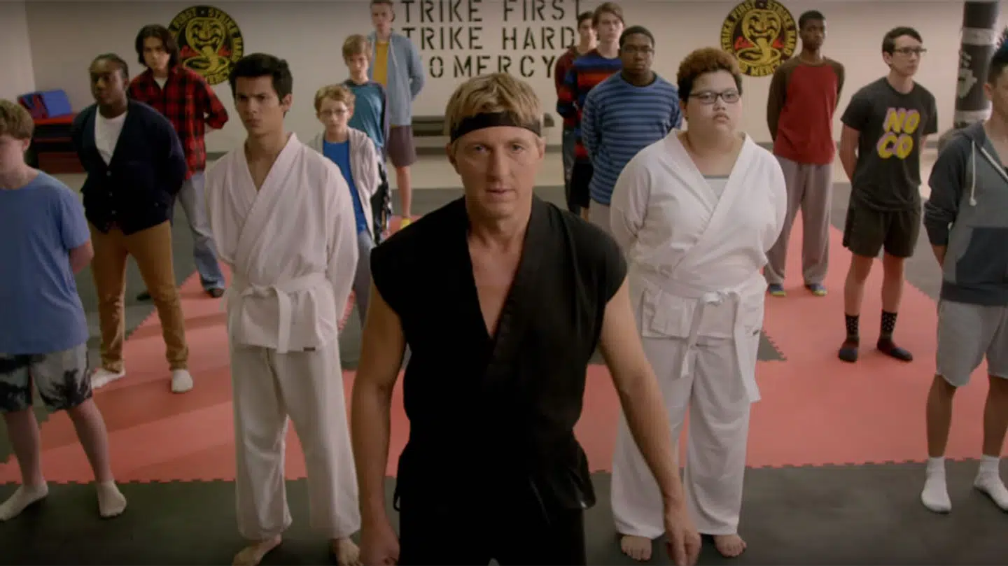 Johnny Lawrence genåbner sin karateklub »Cobra Kai« og træner en ny generation af utilpassede unge i den nye TV-serie på YouTube.
